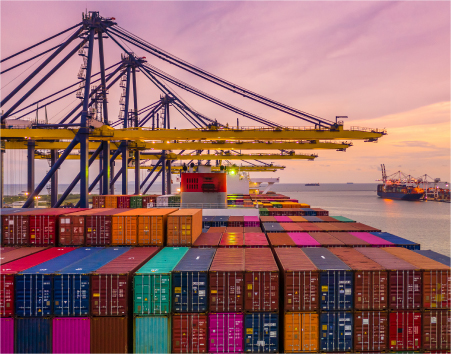 Marine Cargo Insurance